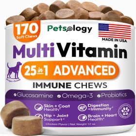 Dog Multivitamin Chewable Dog Vitamins and Supplements with Glucosamine 170 Chews Hip & Joint Pet Immune Support Skin & Coat Gut & Heart Health S
